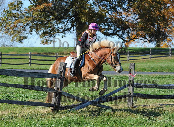 Cheshire(10-19-14)0389