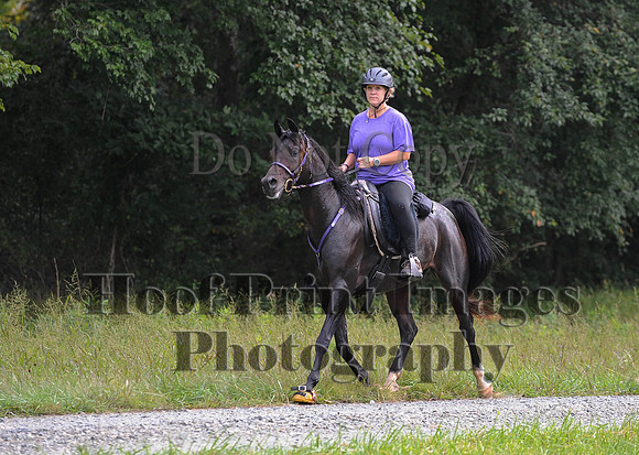 ChesapeakeCTR(9-20-14)0262