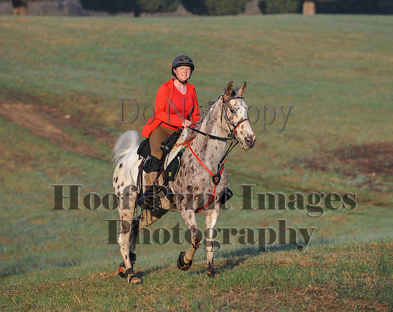 Foxcatcher(4-12-14)0424