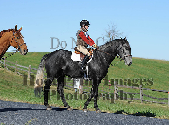 Cheshire(10-19-14)0314