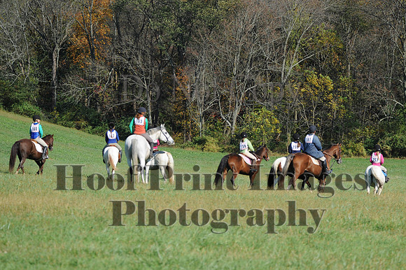 Cheshire(10-20-13)0354