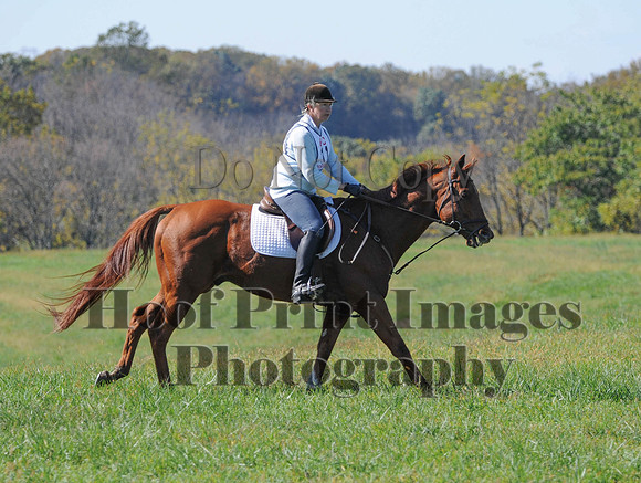 Cheshire(10-20-13)0030