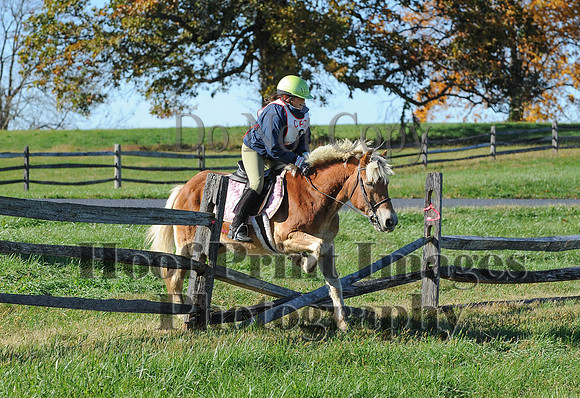 Cheshire(10-19-14)0397