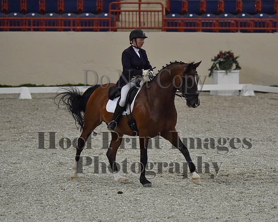 CWdressageII(8-21-16)0769