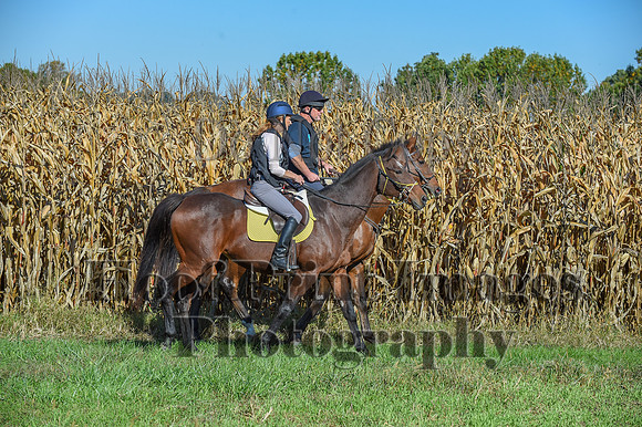 CheshirePonyClubPC(10-6-24)0127