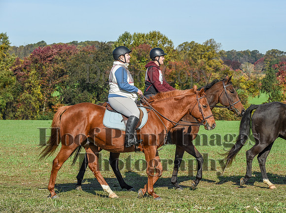 CheshirePC(10-18-20)0161