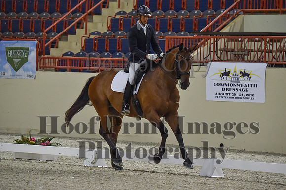 CWdressageI(8-20-16)0489