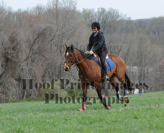 FairhillPC(4-18-14)0119