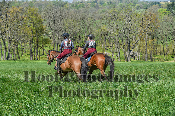 CheshireSpringPC1(4-28-24)0274