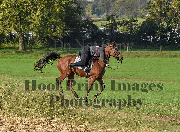 CheshirePC(10-18-20)0117