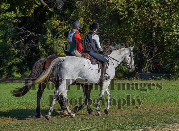 CheshirePC(10-18-20)0225