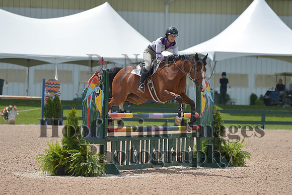 BRSa(5-17-14)HChAdJ0262