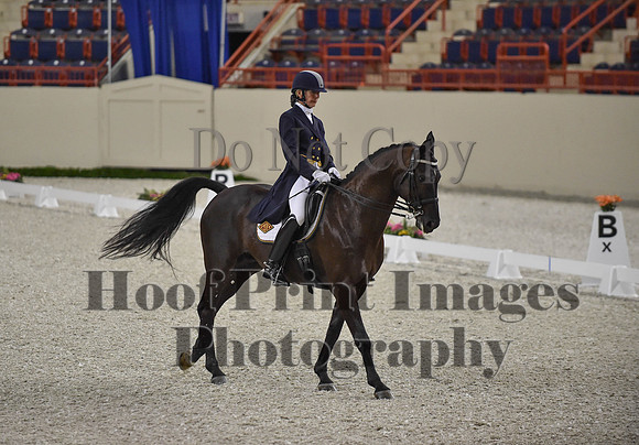 CWdressageI(8-20-16)1583