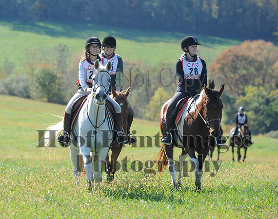 Cheshire(10-20-13)0509