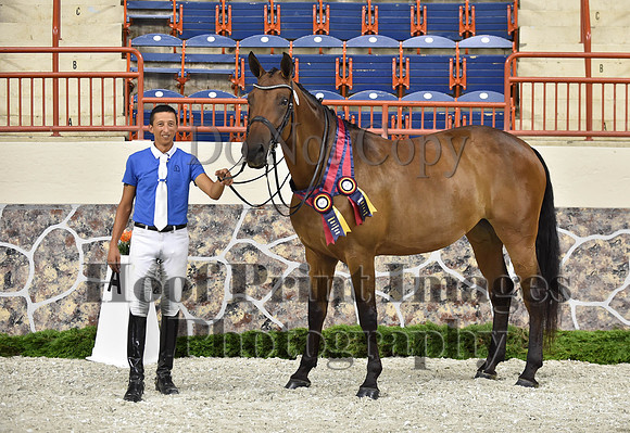 CWdressageI(8-20-16)1711