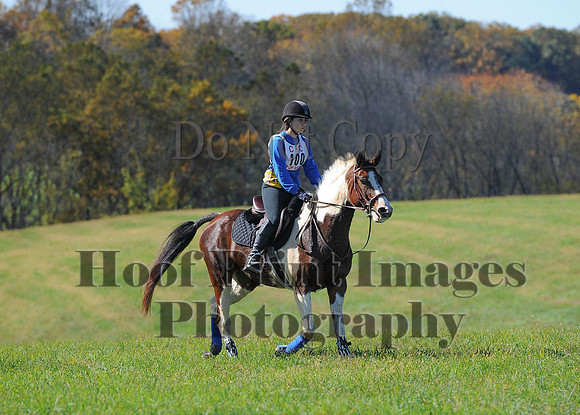 Cheshire(10-19-14)0044