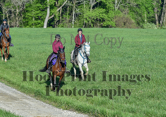 ChesapeakeSpring(4-27-25)0133