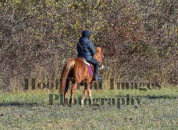 FairHillFallPC(11-30-24)0237
