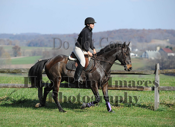 AndrewsBr(11-9-14)0098