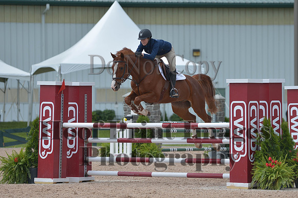 BRSa(5-17-14)HChAdJ0211