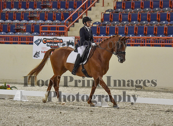 CWdressageI(8-20-16)0787