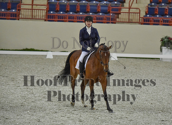 CWdressageI(8-20-16)0256