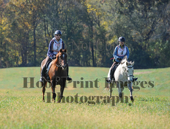 Cheshire(10-20-13)0219