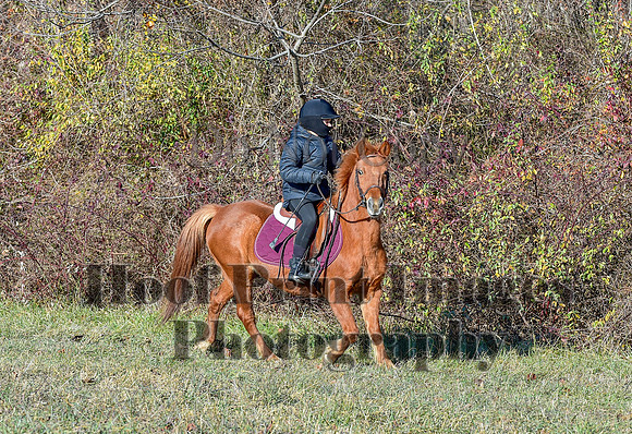 FairHillFallPC(11-30-24)0226