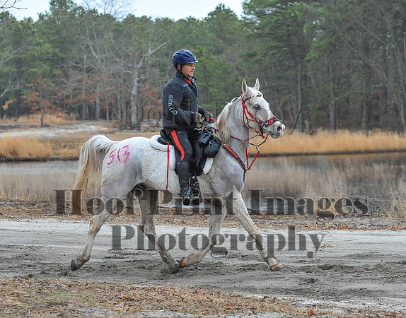 Rabbit(3-29-14)0131