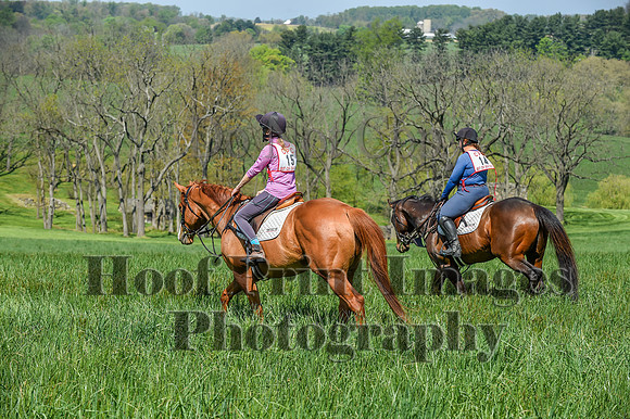 CheshireSpringPC1(4-28-24)0042