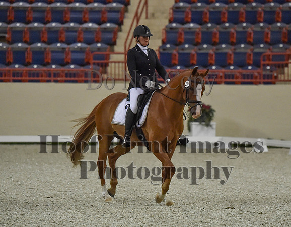 CWdressageI(8-20-16)0496