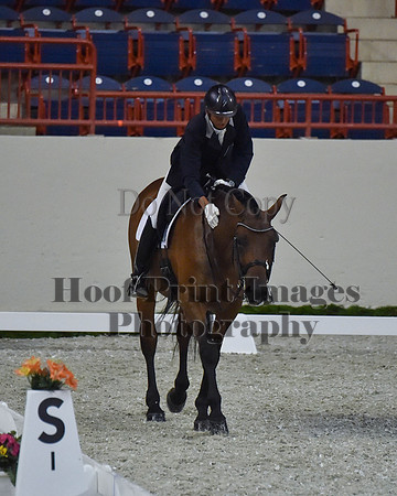 CWdressageII(8-21-16)2294