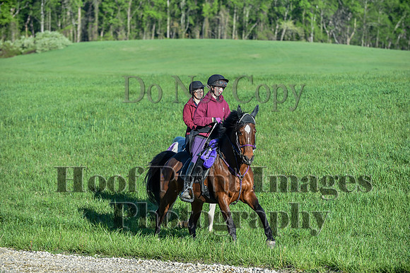 ChesapeakeSpring(4-27-25)0140