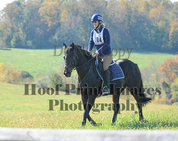 Cheshire(10-20-13)0082
