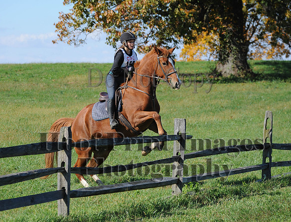 Cheshire(10-20-13)0458