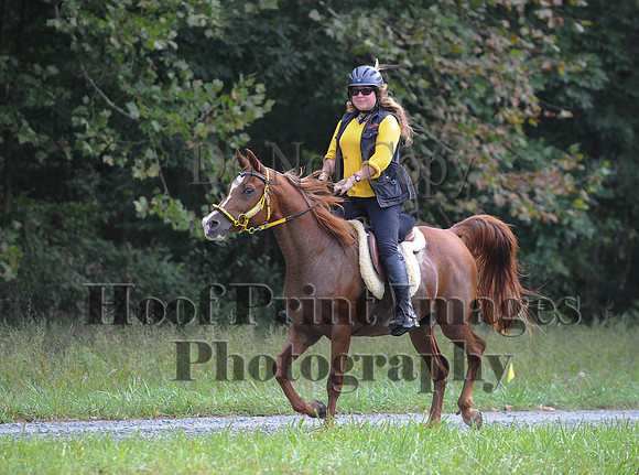 ChesapeakeCTR(9-20-14)0125