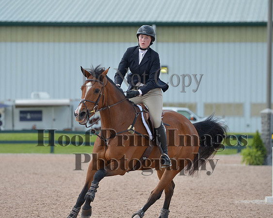 BRSa(5-17-14)HChAdJ0100