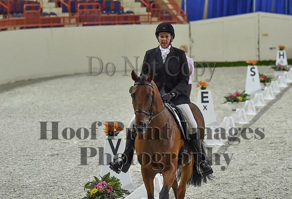 CWdressageI(8-20-16)0376