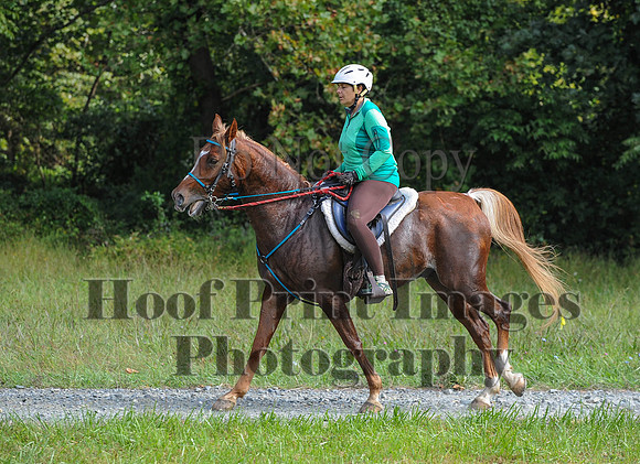 ChesapeakeCTR(9-20-14)0382