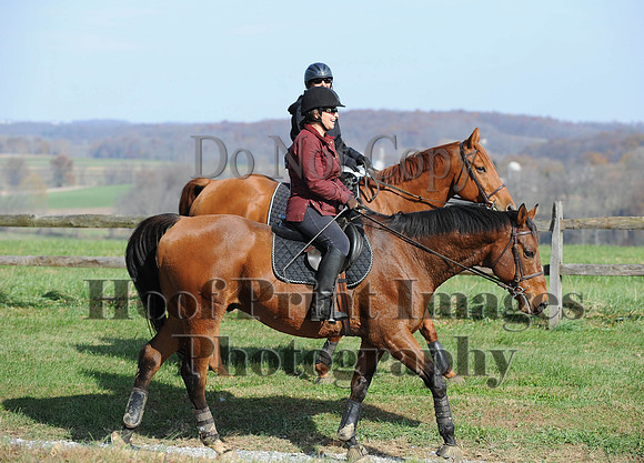 AndrewsBr(11-9-14)0246