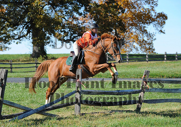 Cheshire(10-19-14)0335