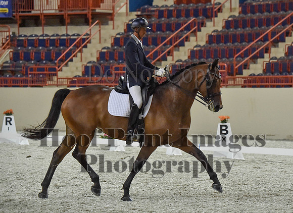 CWdressageI(8-20-16)1350