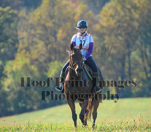 Cheshire(10-20-13)0569