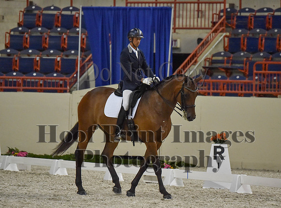CWdressageI(8-20-16)1367