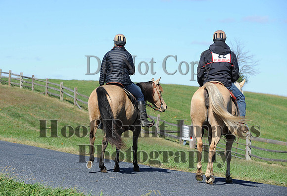 Cheshire(10-19-14)0237