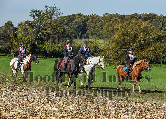 CheshirePC(10-18-20)0384