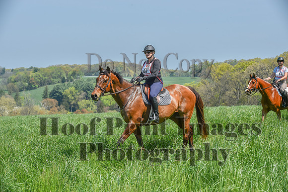 CheshireSpringPC1(4-28-24)0296