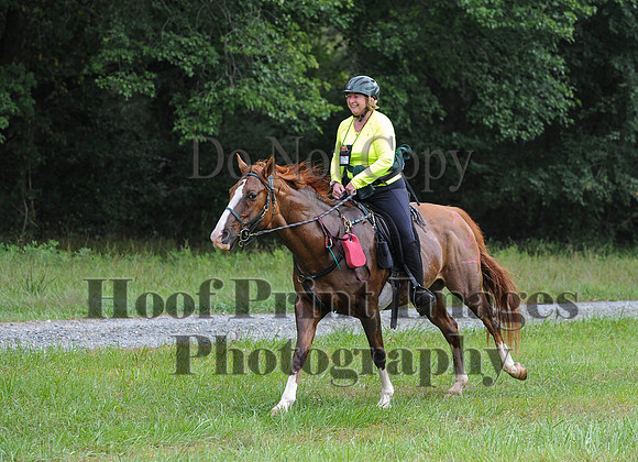 ChesapeakeCTR(9-20-14)0470