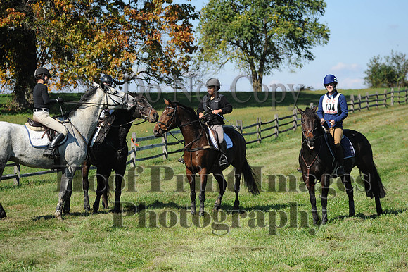 Cheshire(10-20-13)0097