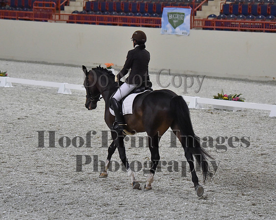 CWdressageII(8-21-16)2084